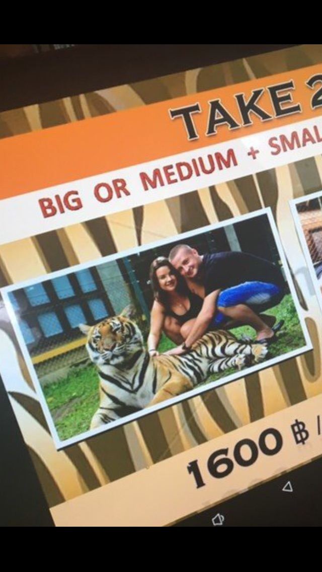 Tiger Kingdom Phuket