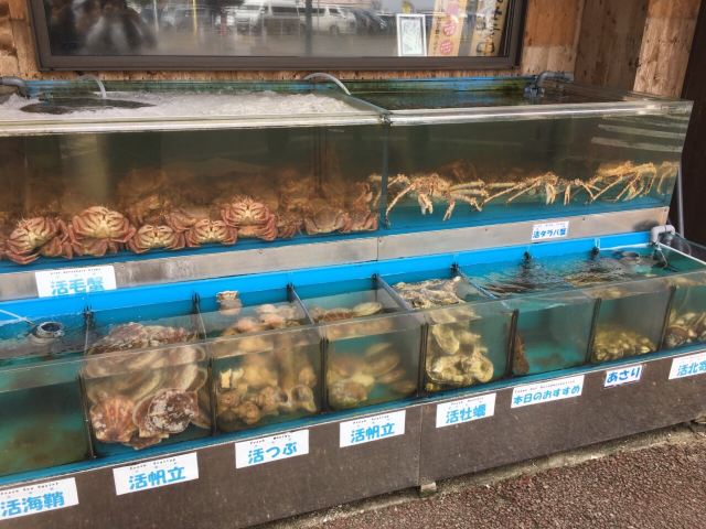 Hakodate Morning Market