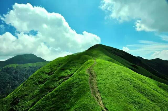 武功山高山草甸。