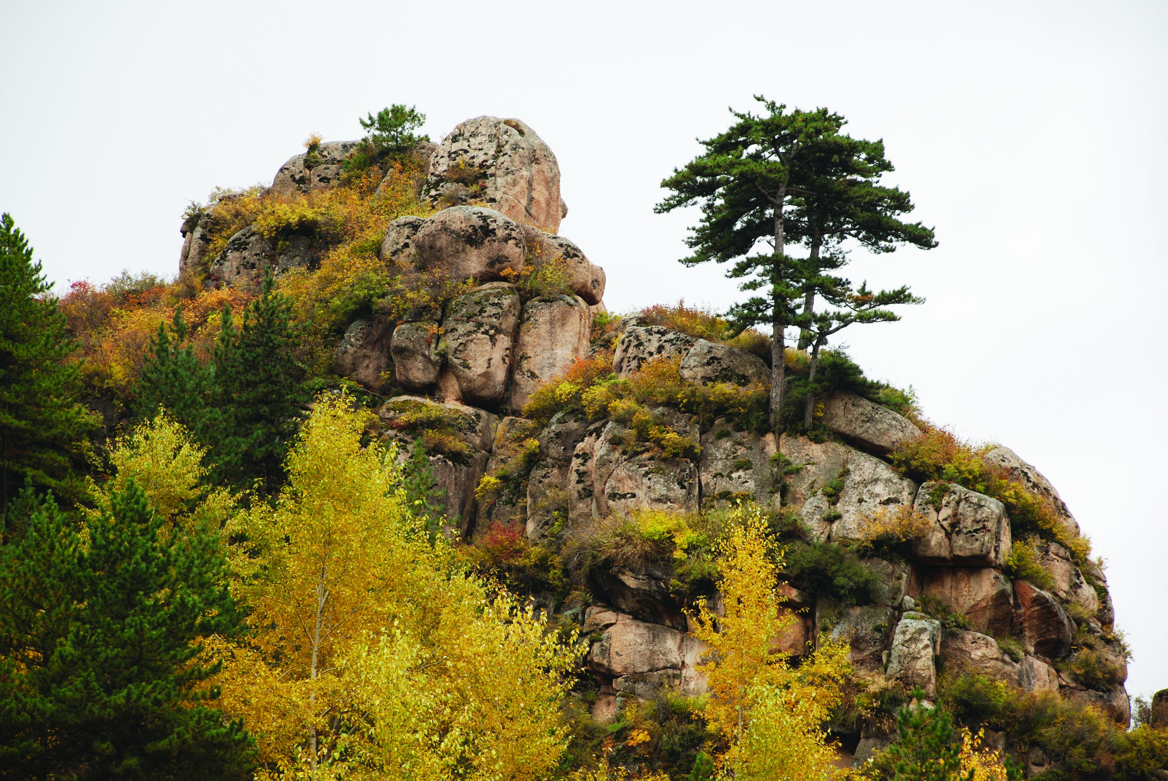 万华山