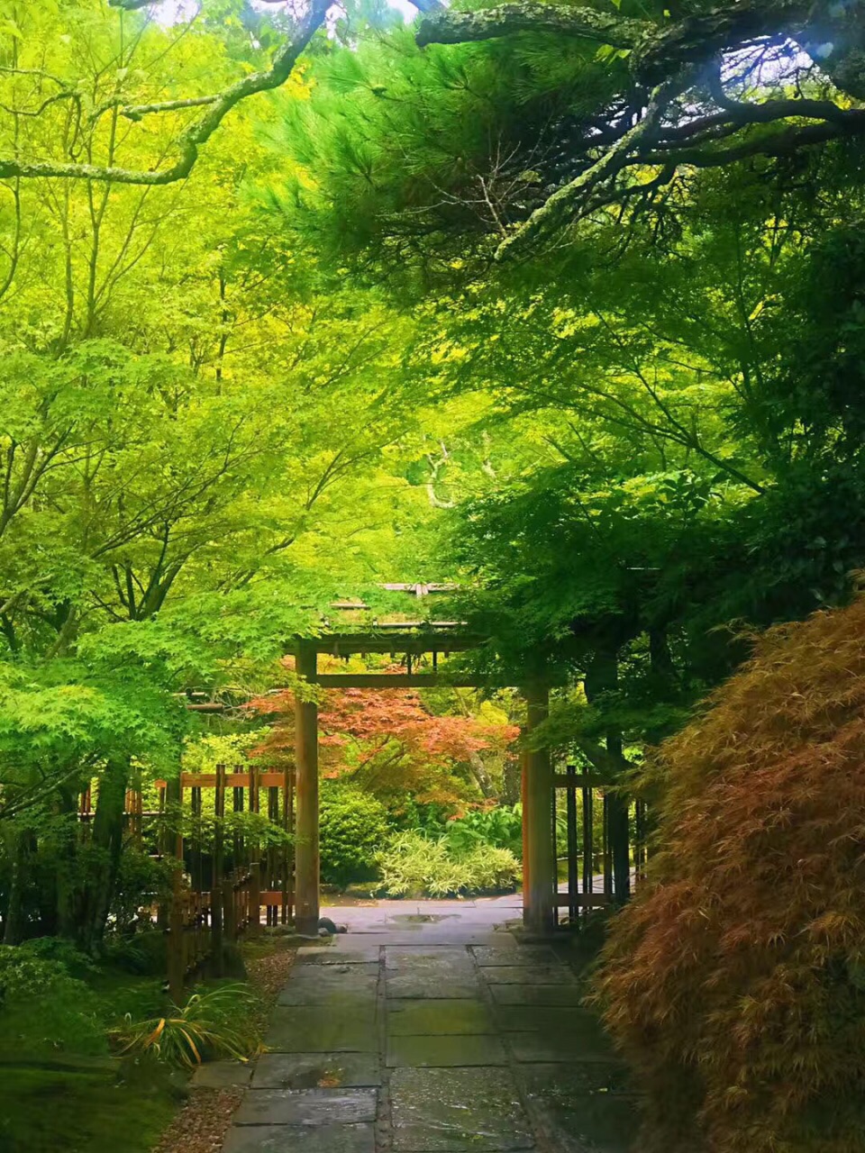 仙台风情