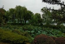 知本乐山步道景点图片