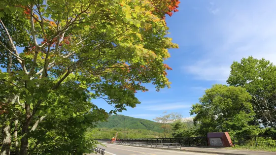 新登別大橋