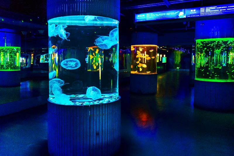 Gallery 3
