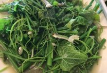 捻花风味食堂美食图片