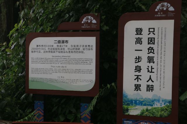 Detian Transnational Waterfall Scenic Area
