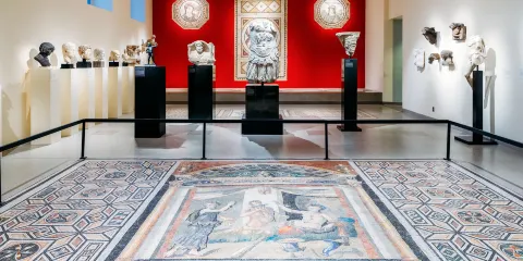 普林斯頓大學藝術博物館