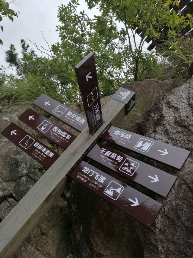 龍門飛渡索橋