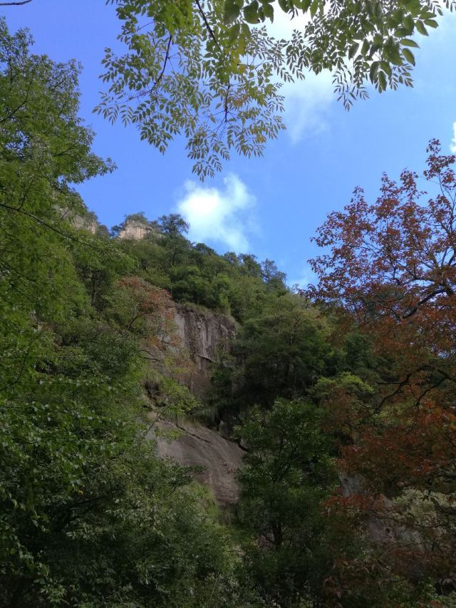 龍門飛渡索橋