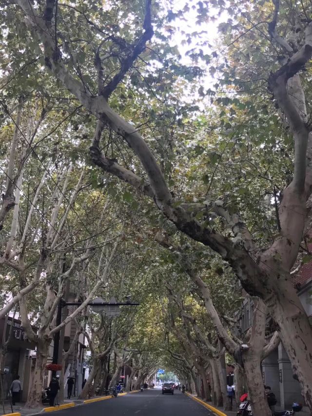 Yuyuan Road