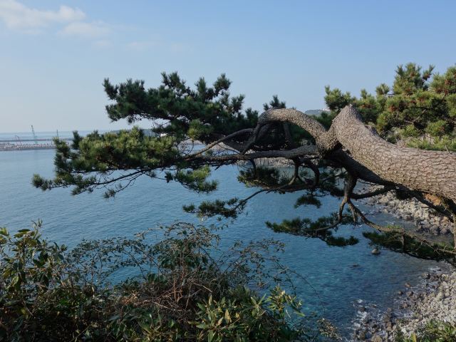 천지연 폭포