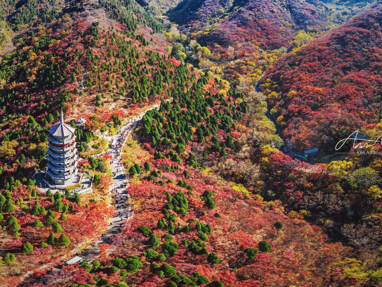 济南红叶谷的红色秋日