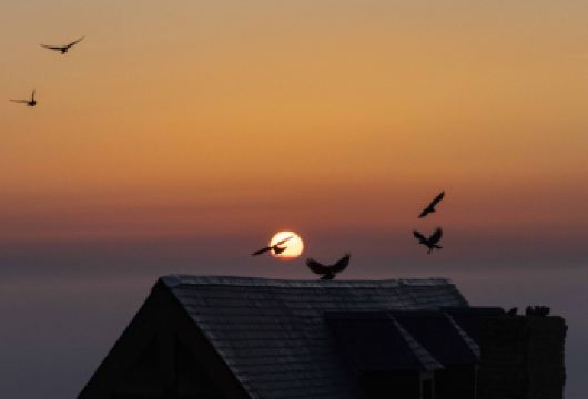 圣米歇尔山+圣米歇尔山修道院一日游【导游讲解/大巴接送】【乘坐舒适的巴士从巴黎出发，包含往返交通，欣赏迷人的圣米歇尔山】