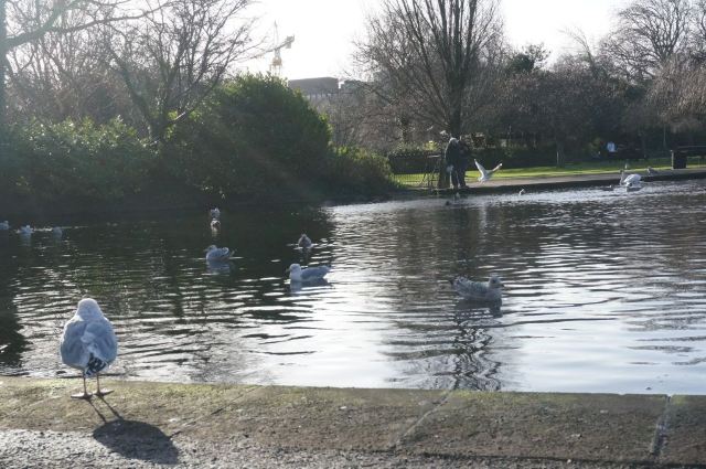 St. Stephen's Green