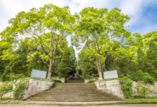 川陕苏区王坪旅游景区景点图片