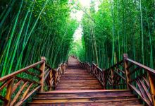 百里竹海景区-观音洞景点图片
