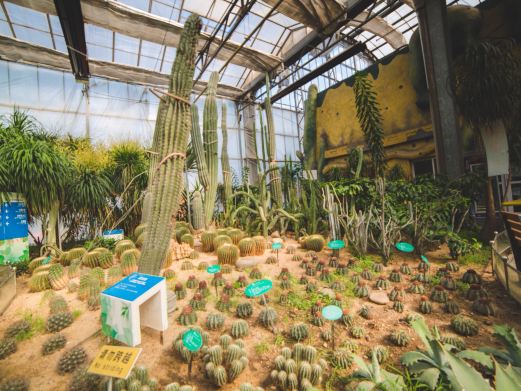 天津热带植物观光园