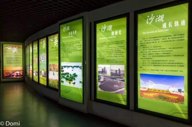 湿地公园博物馆