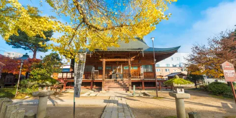 醫王山·飛騨國分寺