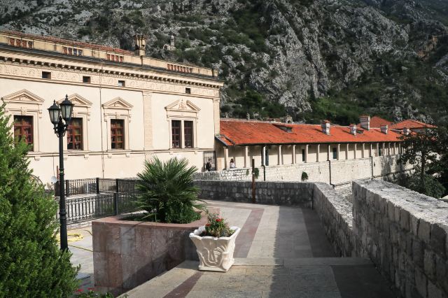 Kotor