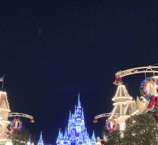Walt Disney World