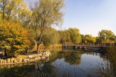 北宫国家森林公园-北京-C-IMAGE