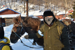 哈尔滨游记图片] 雪谷穿越雪乡  哈尔滨雪谷雪乡环游记攻略