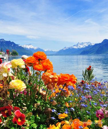 9D8N • Switzerland -- Zurich + Geneva + Bern + Lucerne + Jungfrau-- Authentic experience in a Swiss alpine village