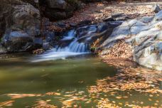 蒲石河森林公园-凤城-尊敬的会员