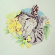 那年那天那些事儿