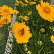 请叫我楚王大人