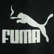 拿着三弦弹棉花