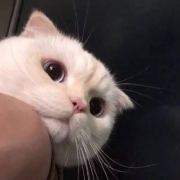 用心把天空锁住