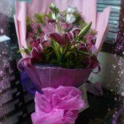 请赐我双胞胎男孩