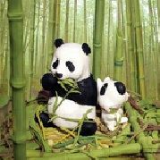 航空航天的那点事