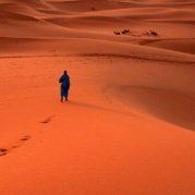 浪漫只怕敢太慢