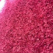 微笑是一种语言