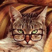 太极小魔女丽界辰