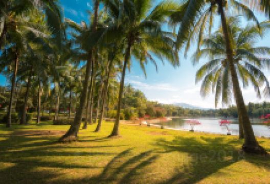 兴隆热带花园景点图片