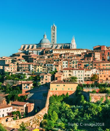 3D2N • Curated Roman & Florentine Wonders: A Bespoke Private Journey