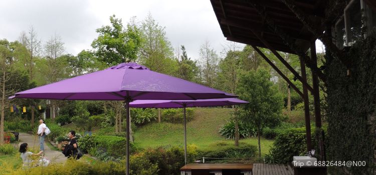 Lavender Cottage Travel Guidebook Must Visit Attractions In