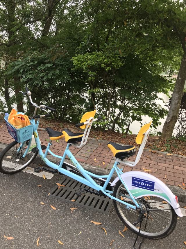 黄牛埔森林公园旅行图片 1