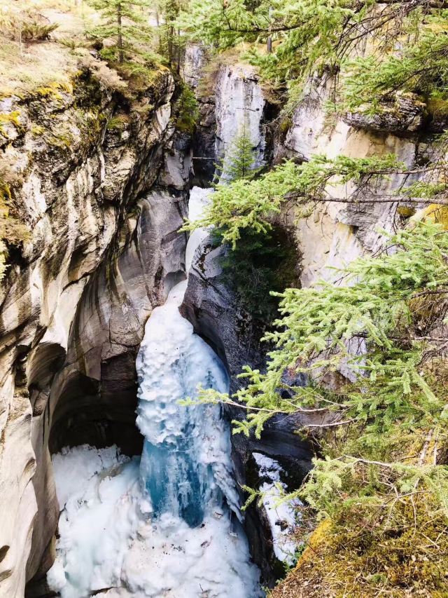 Maligne Canyon
