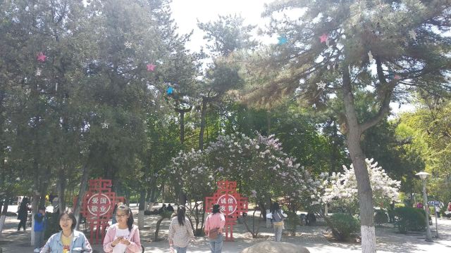 长青公园旅行图片 1