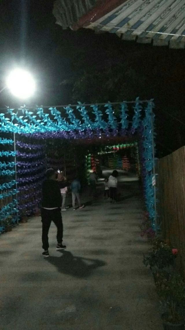 吹台山森林公园旅行图片 2