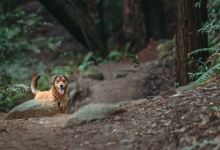 Vía La Selva景点图片