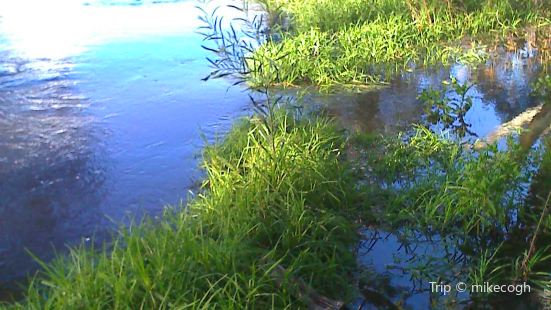River Torrens
