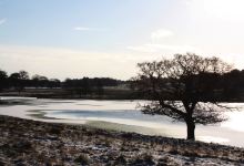 Tatton Park景点图片