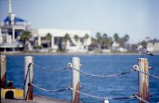 Texas State Aquarium-科珀斯克里斯蒂
