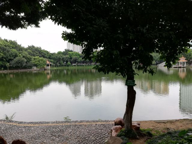 东莞人民公园旅行图片 6